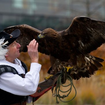 VIDEO: Ever Wanted To Fly Like An Eagle?
